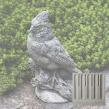 Campania Northern Cardinal Garden Statue - A-505
