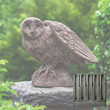 Campania Barny Garden Statue - A-511