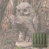 Campania Scholarly Owl Garden Statue - A-520