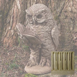 Campania Scholarly Owl Garden Statue - A-520