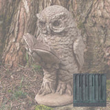 Campania Scholarly Owl Garden Statue - A-520