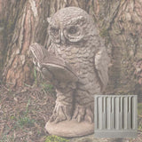 Campania Scholarly Owl Garden Statue - A-520