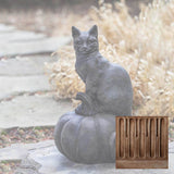 Campania Cat on Pumpkin Garden Statue - A-521