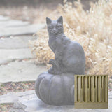 Campania Cat on Pumpkin Garden Statue - A-521