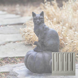 Campania Cat on Pumpkin Garden Statue - A-521