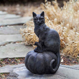 Campania Cat on Pumpkin Garden Statue - A-521