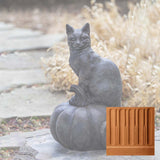 Campania Cat on Pumpkin Garden Statue - A-521