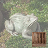 Campania Woodland Frog Garden Statue - A-529