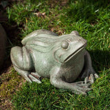 Campania Woodland Frog Garden Statue - A-529