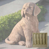 Campania Golden Retriever Puppy Garden Statue - A-535