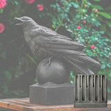 Campania Corvus Garden Statue - A-559