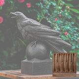 Campania Corvus Garden Statue - A-559