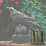 Campania Corvus Garden Statue - A-559