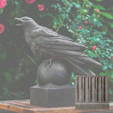 Campania Corvus Garden Statue - A-559