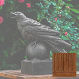 Campania Corvus Garden Statue - A-559