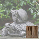 Campania Snail Express Garden Statue - A-565