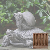 Campania Snail Express Garden Statue - A-565