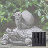 Campania Snail Express Garden Statue - A-565