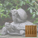 Campania Snail Express Garden Statue - A-565