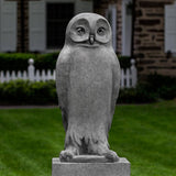 Campania Dr. Hoo Garden Statue - A-578