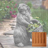 Campania Spring Hare Garden Statue - A-580