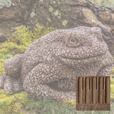 Campania Forest Toad Garden Statue - A-595