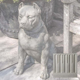 Campania Lucky Garden Statue - A-596