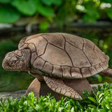 Campania Large Sea Turtle Garden Statue - A-614