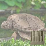 Campania Large Sea Turtle Garden Statue - A-614