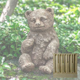 Campania Bear Cub Garden Statue - A-625