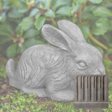 Campania Bunny Garden Statue - A-628
