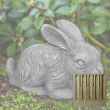 Campania Bunny Garden Statue - A-628