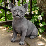 Campania Frenchie Garden Statue - A-630