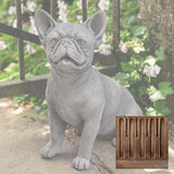Campania Frenchie Garden Statue - A-630