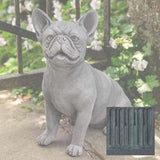 Campania Frenchie Garden Statue - A-630