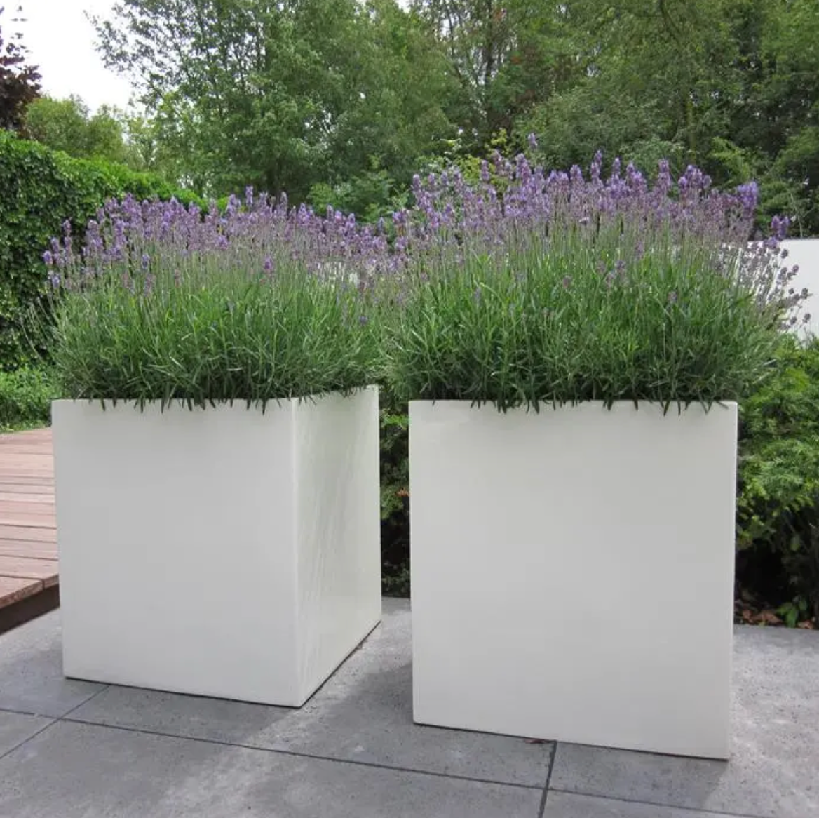 Adezz Carrez Fibreglass Square planter with wheels