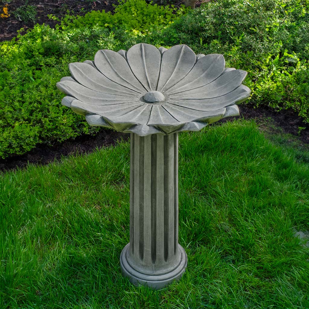 Campania Marguerite Birdbath - B-204