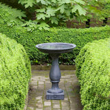 Campania Williamsburg Candlestand Birdbath - B-119