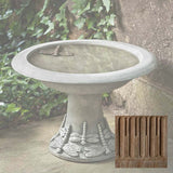 Campania Dragonfly Birdbath, Small - B-149