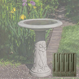 Campania Iris Birdbath - B-171
