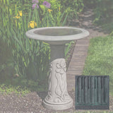 Campania Iris Birdbath - B-171