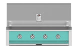 Aspire By Hestan 42" Outdoor Built-In Grill with 4 U-Burner - EAB42