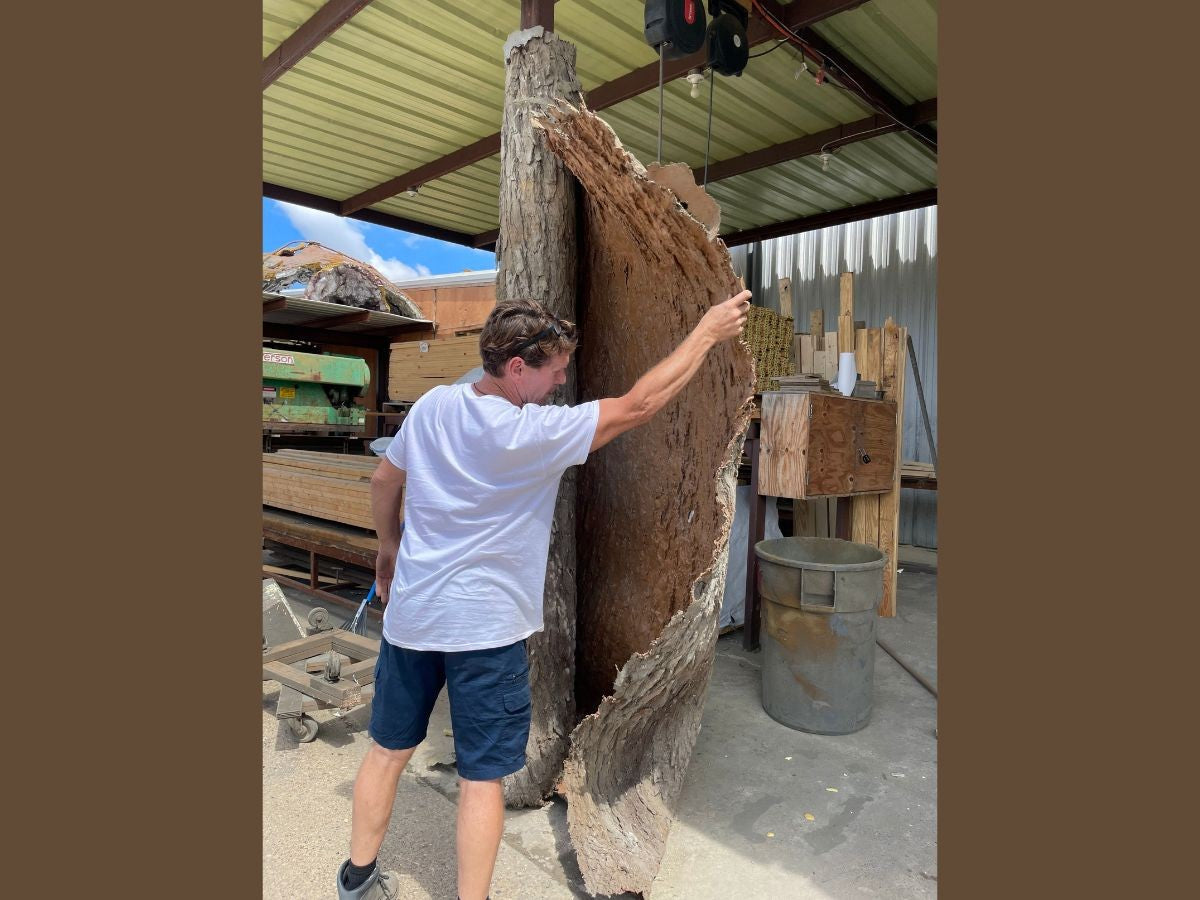 Universal Rocks Cottonwood Tree Bark 7' x 9' Wall Panel – COTTONWOOD-BARK-PANEL