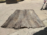 Universal Rocks Cottonwood Tree Bark 7' x 9' Wall Panel – COTTONWOOD-BARK-PANEL