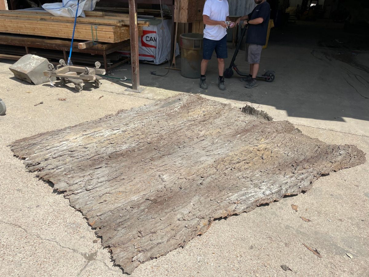 Universal Rocks Cottonwood Tree Bark 7' x 9' Wall Panel – COTTONWOOD-BARK-PANEL