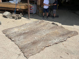 Universal Rocks Cottonwood Tree Bark 7' x 9' Wall Panel – COTTONWOOD-BARK-PANEL