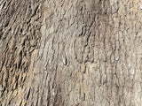 Universal Rocks Cottonwood Tree Bark 7' x 9' Wall Panel – COTTONWOOD-BARK-PANEL