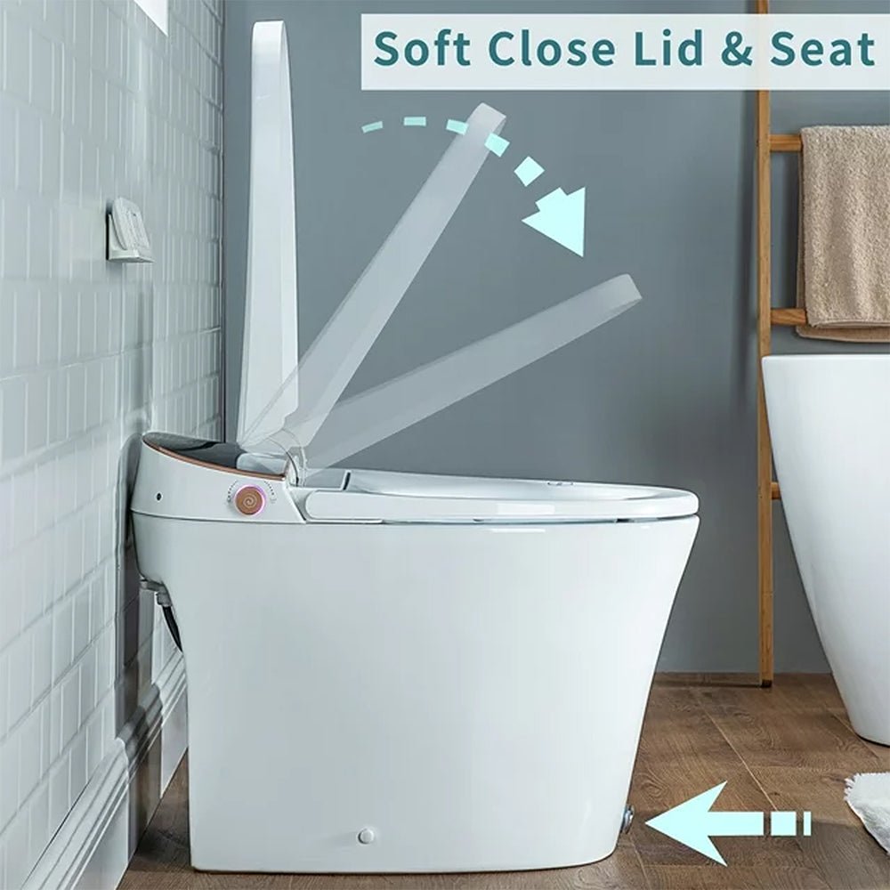 CTDV Premium Smart Tankless Bidet Toilet W/ Adjustable Heated Seat, Water & Air Dryer (96174253)