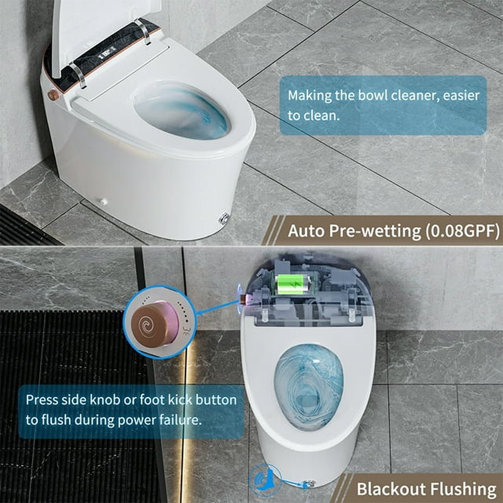 CTDV Premium Smart Tankless Bidet Toilet W/ Adjustable Heated Seat, Water & Air Dryer (96174253)