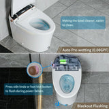 CTDV Premium Smart Tankless Bidet Toilet W/ Adjustable Heated Seat, Water & Air Dryer (96174253)